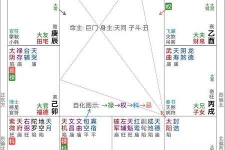 紫薇斗数命宫一生财运