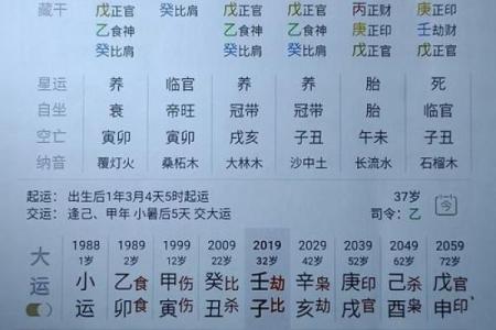 如何通过八字看官运？