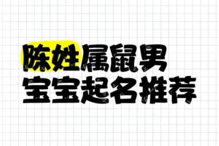 晚上8点出生的属鼠男孩的取名技巧姓名