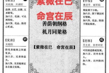 紫微斗数终极 紫微斗数解释？
