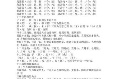 属相配对父子相冲