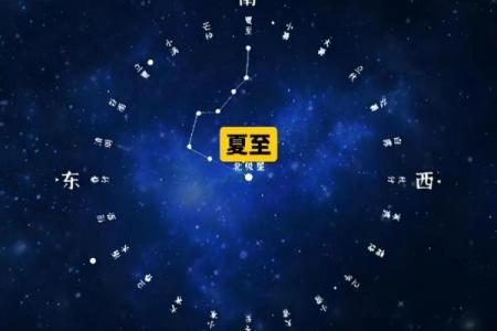 紫微斗数之事业宫与诸星，天相星在事业宫是什么意思？