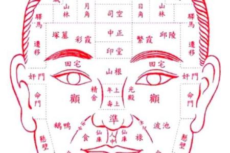 面相风水鼻头大的男人好不好是长寿命吗