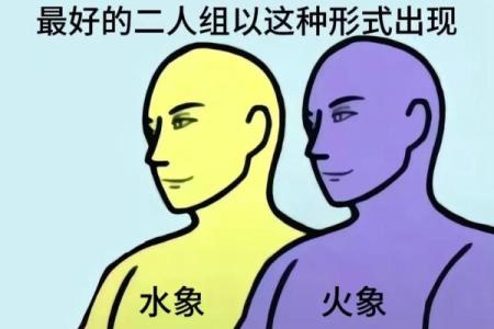 水象星座和火象星座在一起相配吗