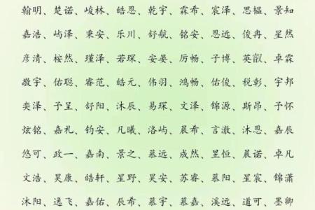 2019年5月13号子时出生的男孩起名时要注意什么姓名