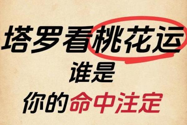 塔罗测试：十一月桃花运？