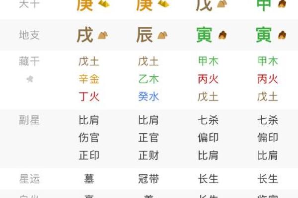 八字己巳大运是什么运势