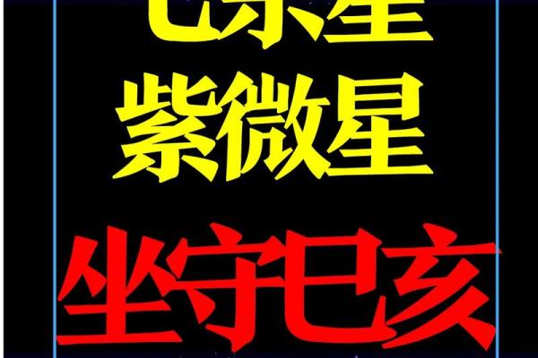 紫薇斗数七杀星