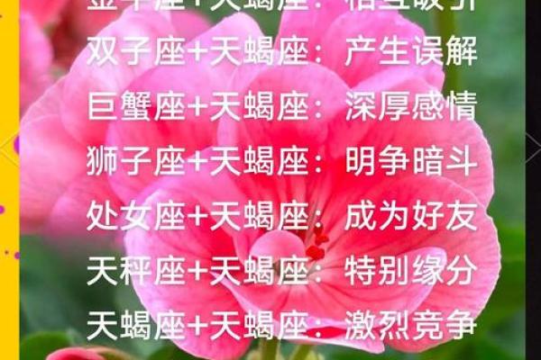 天蝎女和12星座男的关系如何