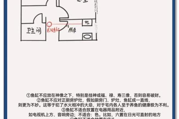 家里养鱼也是有一些风水禁忌的