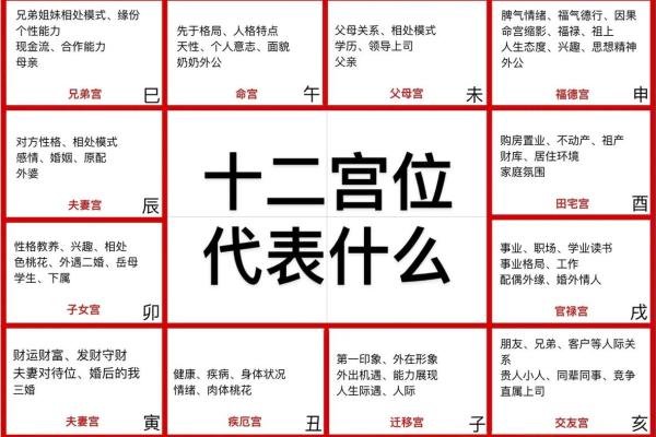 紫薇斗数时辰