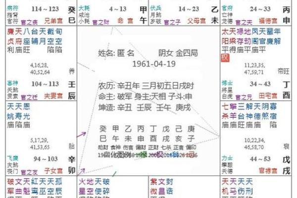 紫薇星化忌怎么看