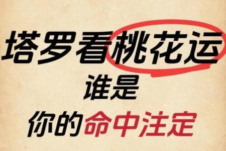 塔罗测试：十一月桃花运？