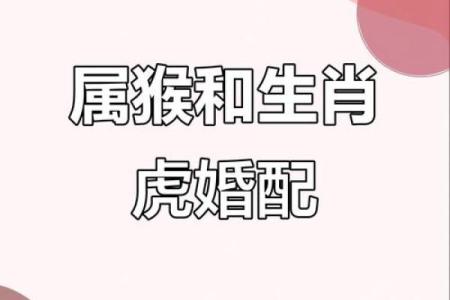 猪猴相害为啥还属上等婚姻 属猪属猴的配对优缺点
