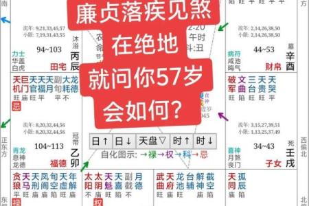 紫薇斗数与四柱