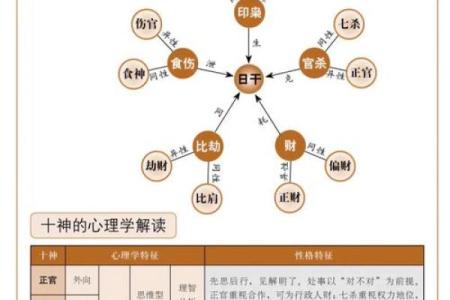 十神与八字