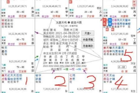 紫薇斗数自测