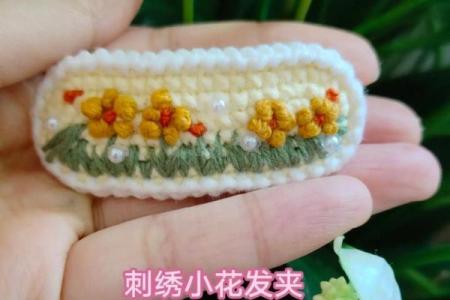 最适合12星座少女的花朵发夹