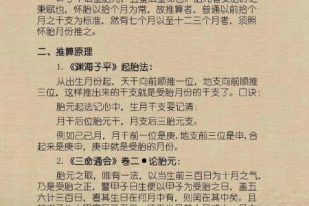 胎元八字