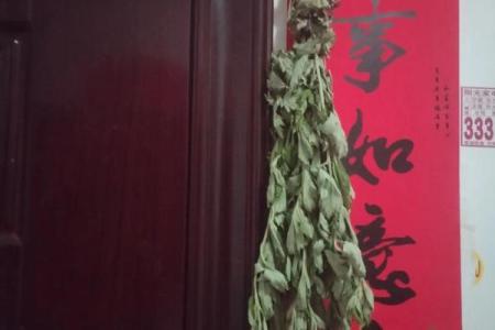 风水习俗端午挂艾草是单还是双解答