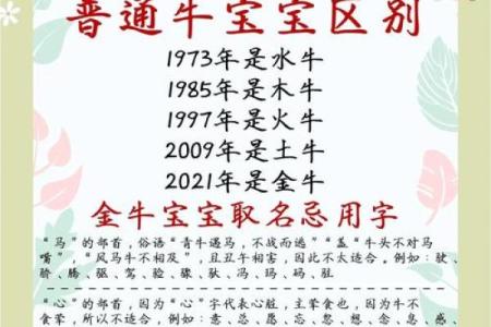 半夜出生的属牛男孩取名常用字有哪些姓名