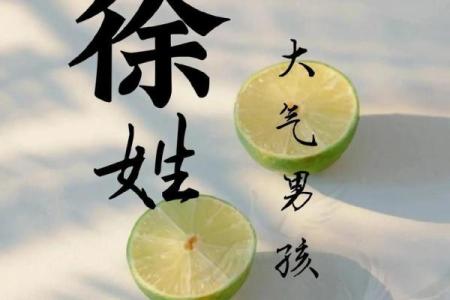 徐姓男孩名字大全-徐姓男孩起名字大全-徐姓名字大全姓名