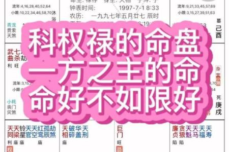 紫薇斗数權祿