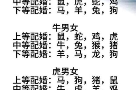 十二生肖算命婚姻配对准吗