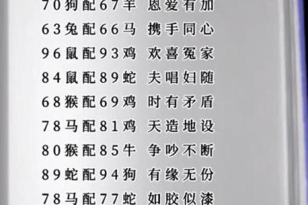 12生肖婚配属相配对查询，生肖配对查询表