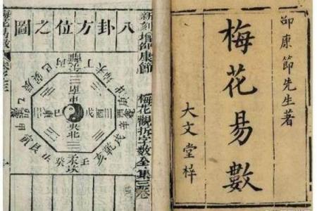梅花易数紫薇斗数