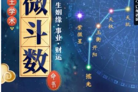 紫薇星斗数排盘准吗