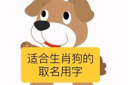 2018年生肖狗宝宝如何取名？狗宝宝取名有何禁忌？-华易网姓名