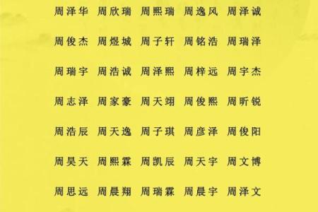 12月份出生的属蛇男孩起什么名字好姓名