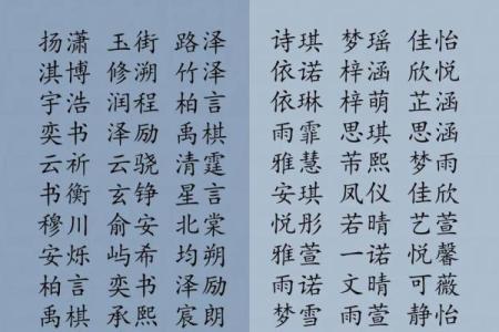 2019年4月13号寅时出生的男孩应该起什么样的名字姓名