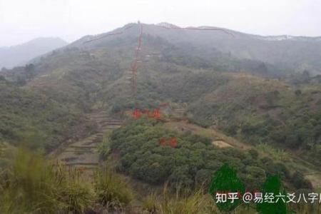 迁坟风水分析：要注意这些忌讳